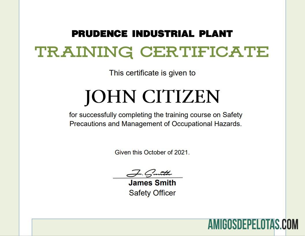 Imprimível modelo de certificado de treinamento nos EUA em formato Word e PDF, versão 2